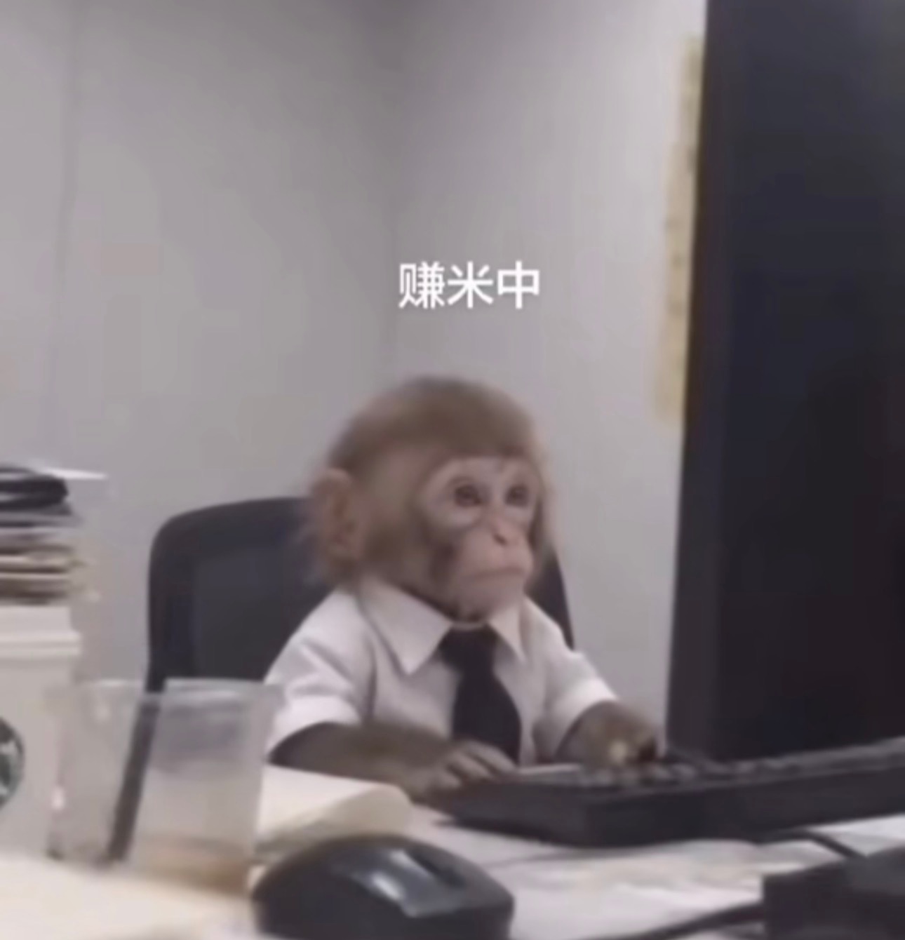 🙉 ​​​