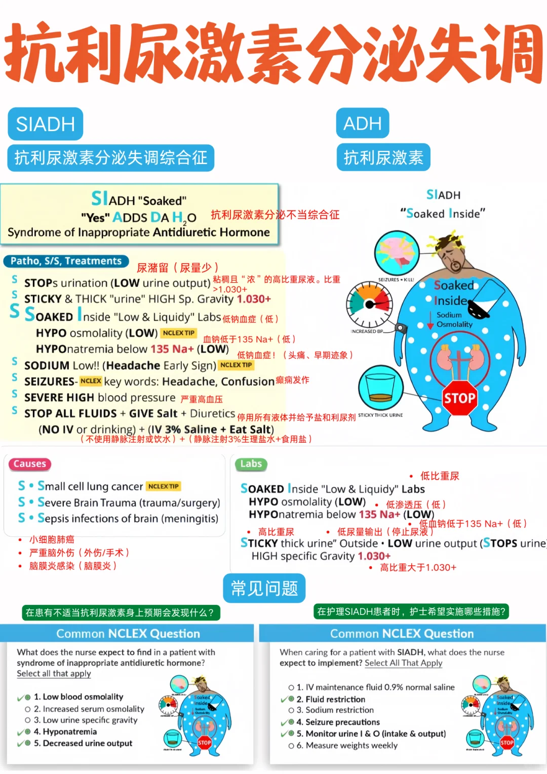 备考RN/抗利尿激素分泌失调！！学！！内容