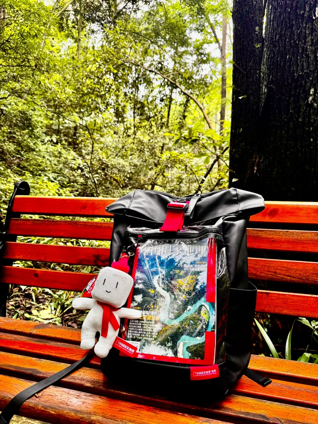 🎒征服山川湖海！户外登山必备双肩包！