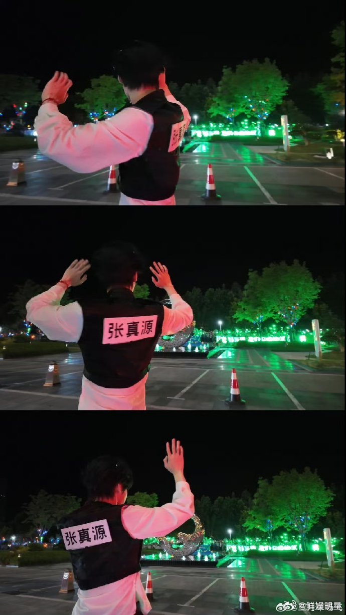 张真源vlog里有绿海 把粉丝的灯海收录进个人 vlog，张真源永远都懂得回应大