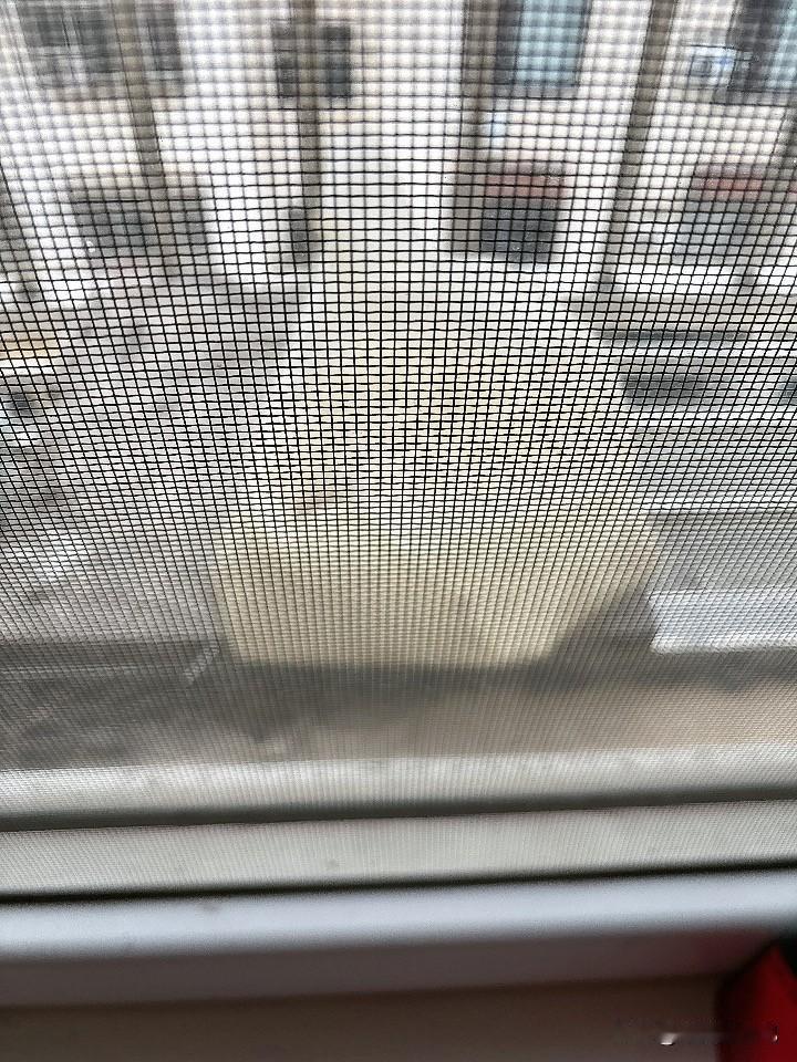 冬天一到，给小鸟准备的水和米也用不到了。
我感觉这些小动物也真是厉害，它们没有我