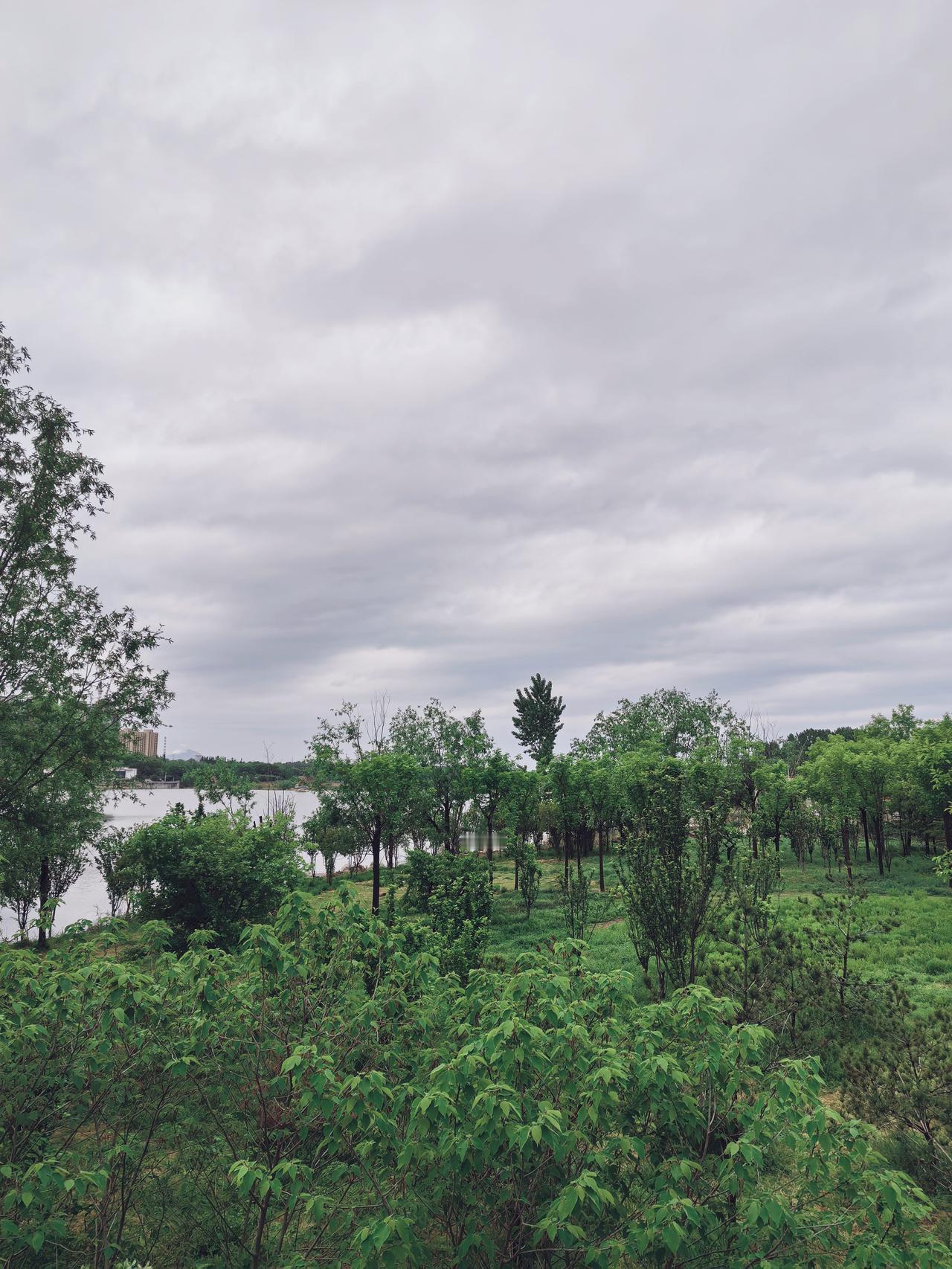 分享一张你最近随拍的照片又是一年春草绿