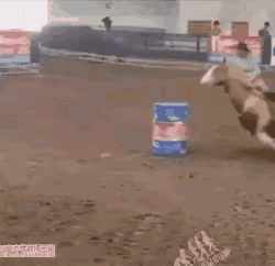 马术表演本是很优雅的“贵族运动”，可要是来个人仰马翻，那画面可就太“辣眼睛”了。