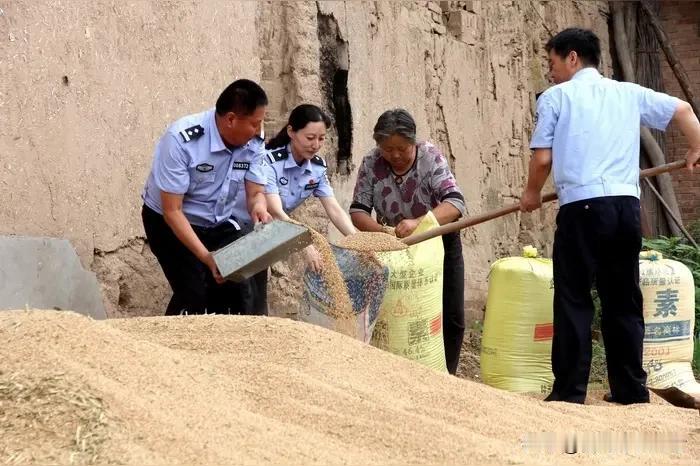 深夜麦田上演暖心一幕！襄阳民警化身劳力，徒手扒粮守护农户一年收成
 
农时不等人