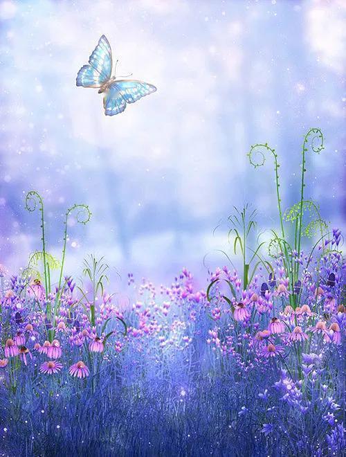 【钗头凤-蝶】
………………………………………………
晴光透，芳菲骤，摇翅翩跹风