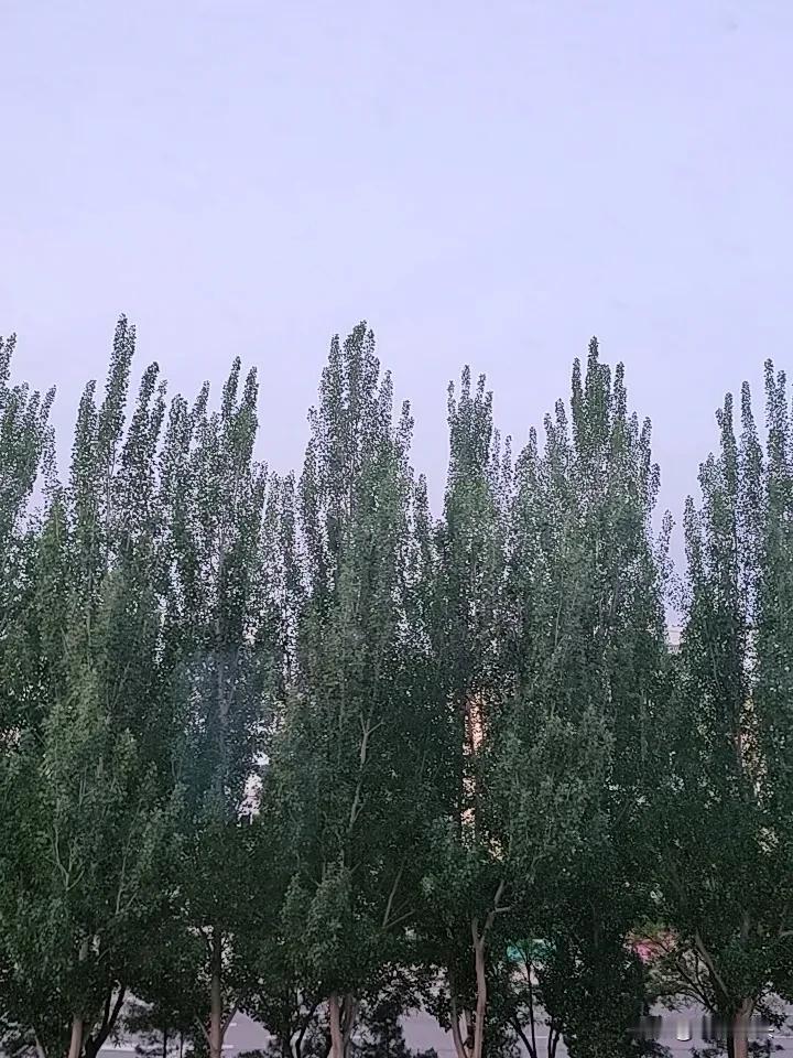 抱团养老靠谱吗？
昨晚上接到一个网友的私信，
问我能不能抱团搭伴养老，
人别太多