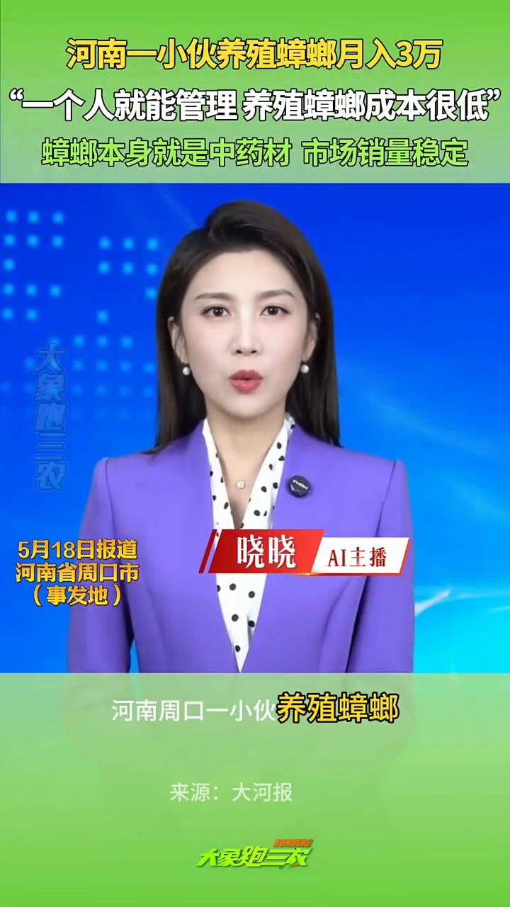 一小伙养殖蟑螂月入3万，一个人轻松管理。
大河报。
5月14日，河南周口一小伙养