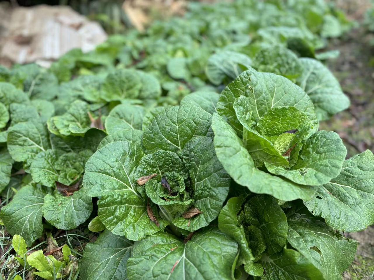 说到彩礼，就是陋习卖女儿，还说说什么儿子养大也不容易。

说到嫁妆，就说古时候大