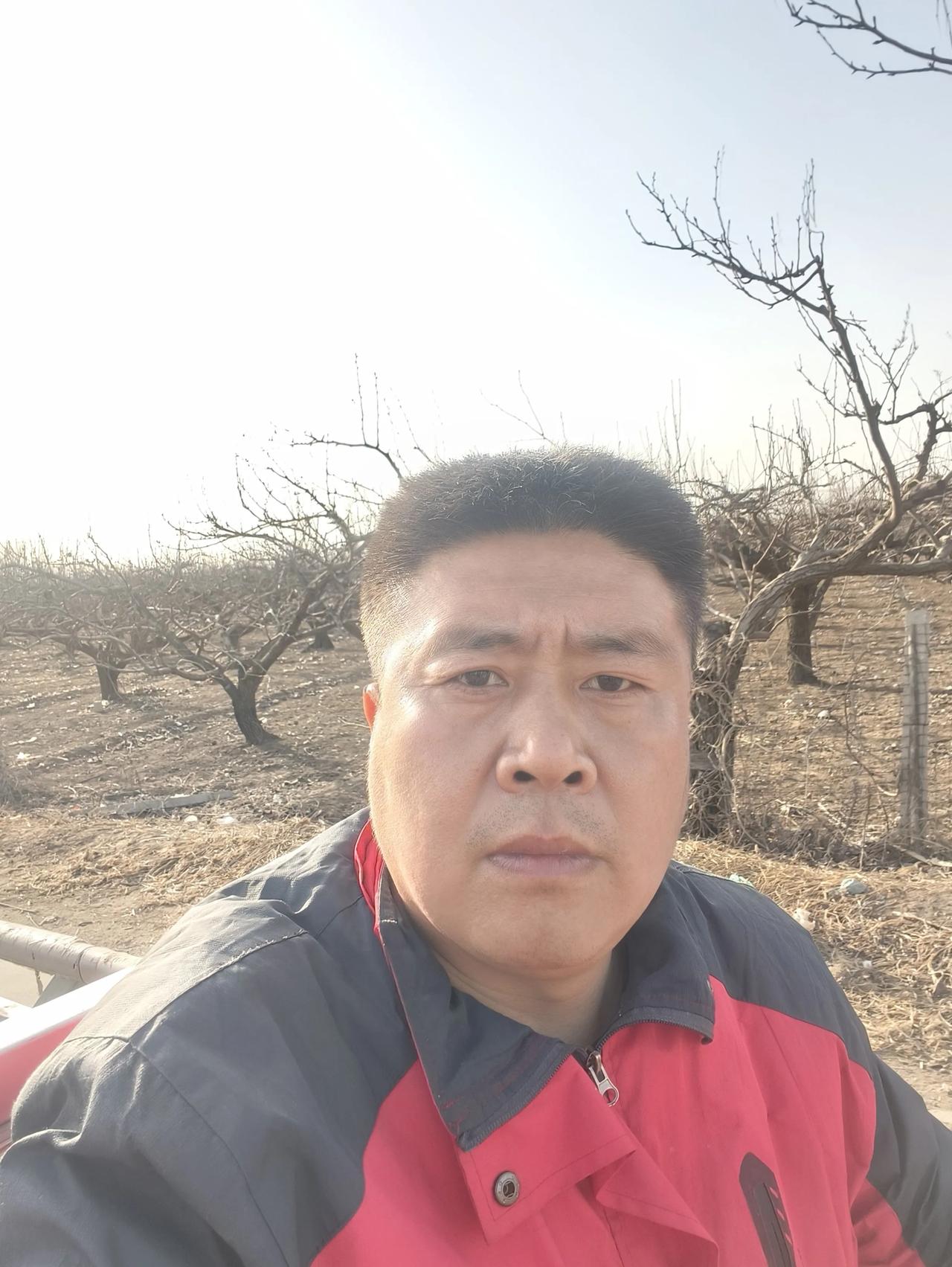 过了初五，这年也算是过去了。
今天是大年初六，昨晚刮了一夜的大风，特别的大，估计