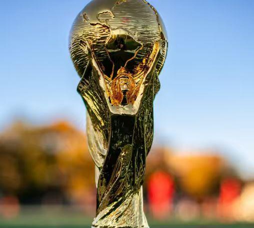 世界杯 A 组汇聚荷兰、塞内加尔、厄瓜多尔和东道主卡塔尔四支球队。

荷兰作为无