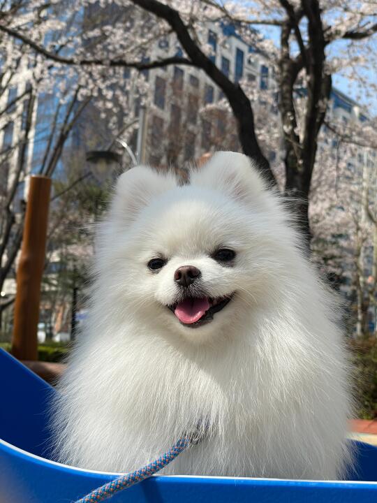 家门口随手一拍 我家孩子能做童模吗？