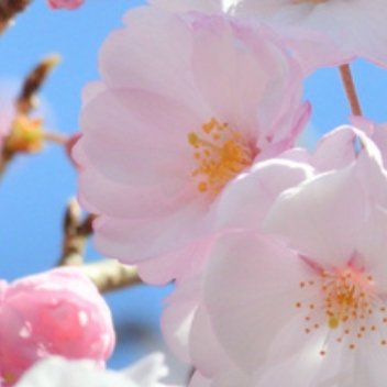 阳光信用🌸每日一善人生路上，要学会善待，善待他人，可以让人生走得更远；善待自己