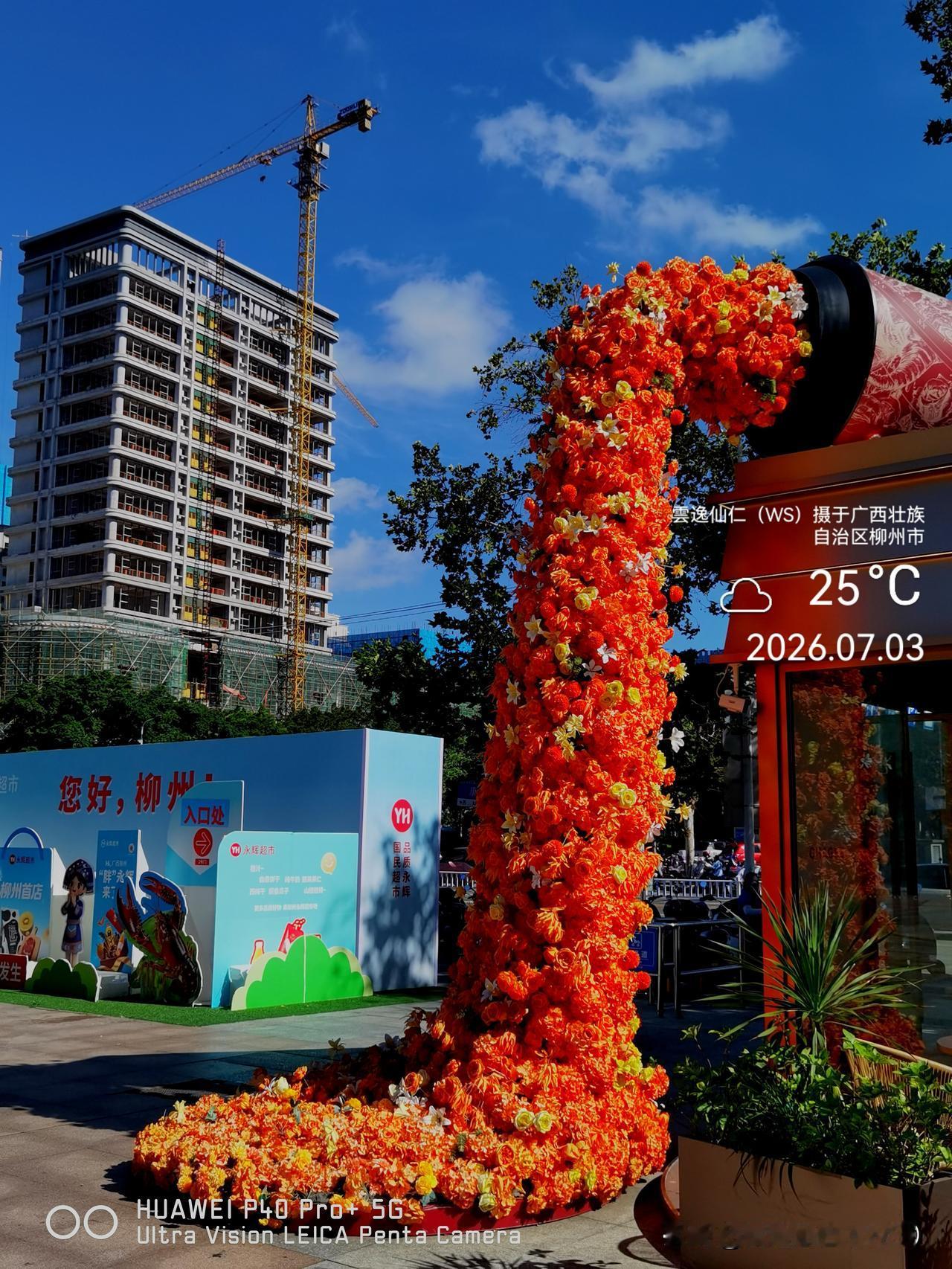 月居生活记录（10204）广西壮族自治区柳州市（242）花儿随拍25： 花流、羊