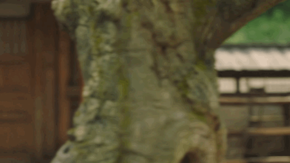 #张晚意天选古人# 张晚意其实真的一直都有被我注意到，感觉这一个装扮更甚至是有一