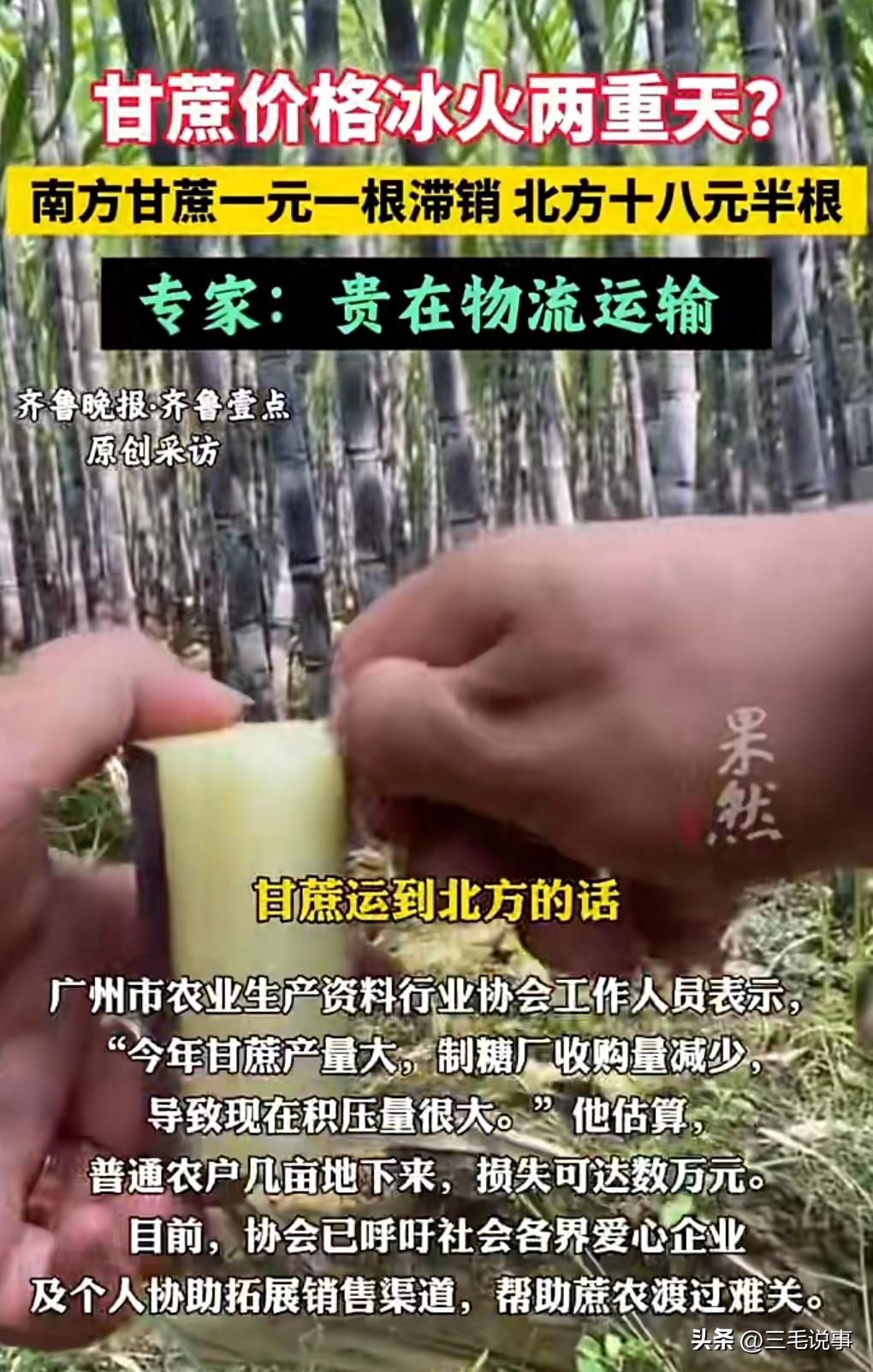 这就是冰火两重天了。
南方广州广西的甘蔗卖白菜价，广州南沙有的甚至卖一元一根。