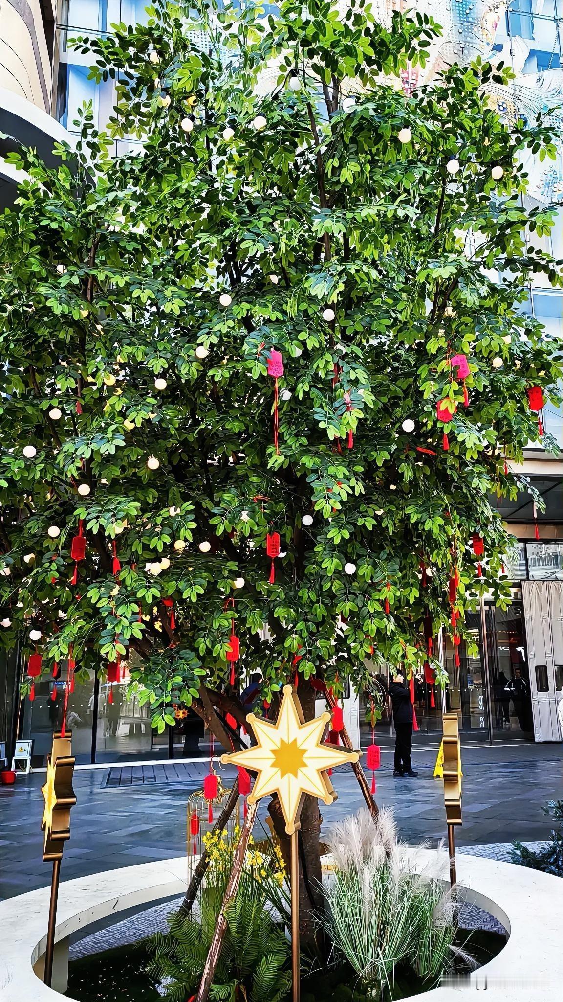 万象城的平安夜，

圣诞树装饰一新。

挂满了闪亮彩灯，

祝友们四季平安！