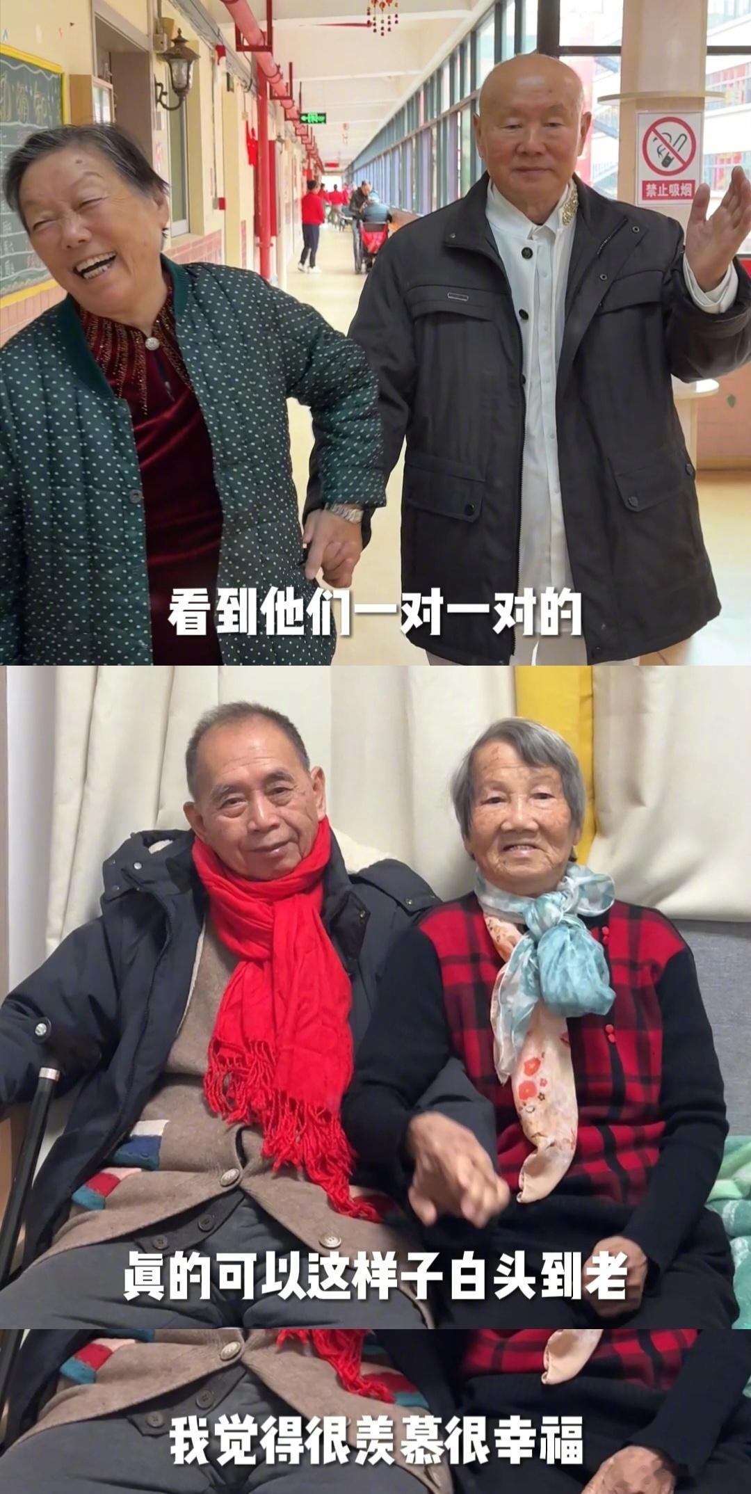 王祖蓝夫妇为金婚老人拍结婚照  看王祖蓝夫妇的公益视频，被金婚老人的爱情和他们的