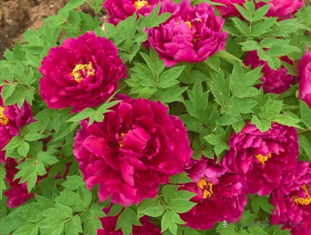 1.买房不买大户型，屋子够住就行

2.钱，千万不要乱花，衣服少买，有的穿就行，