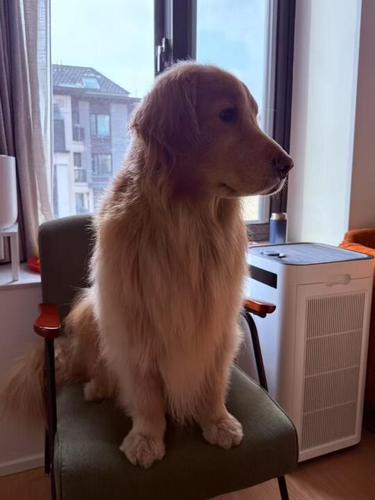 越来越像人了