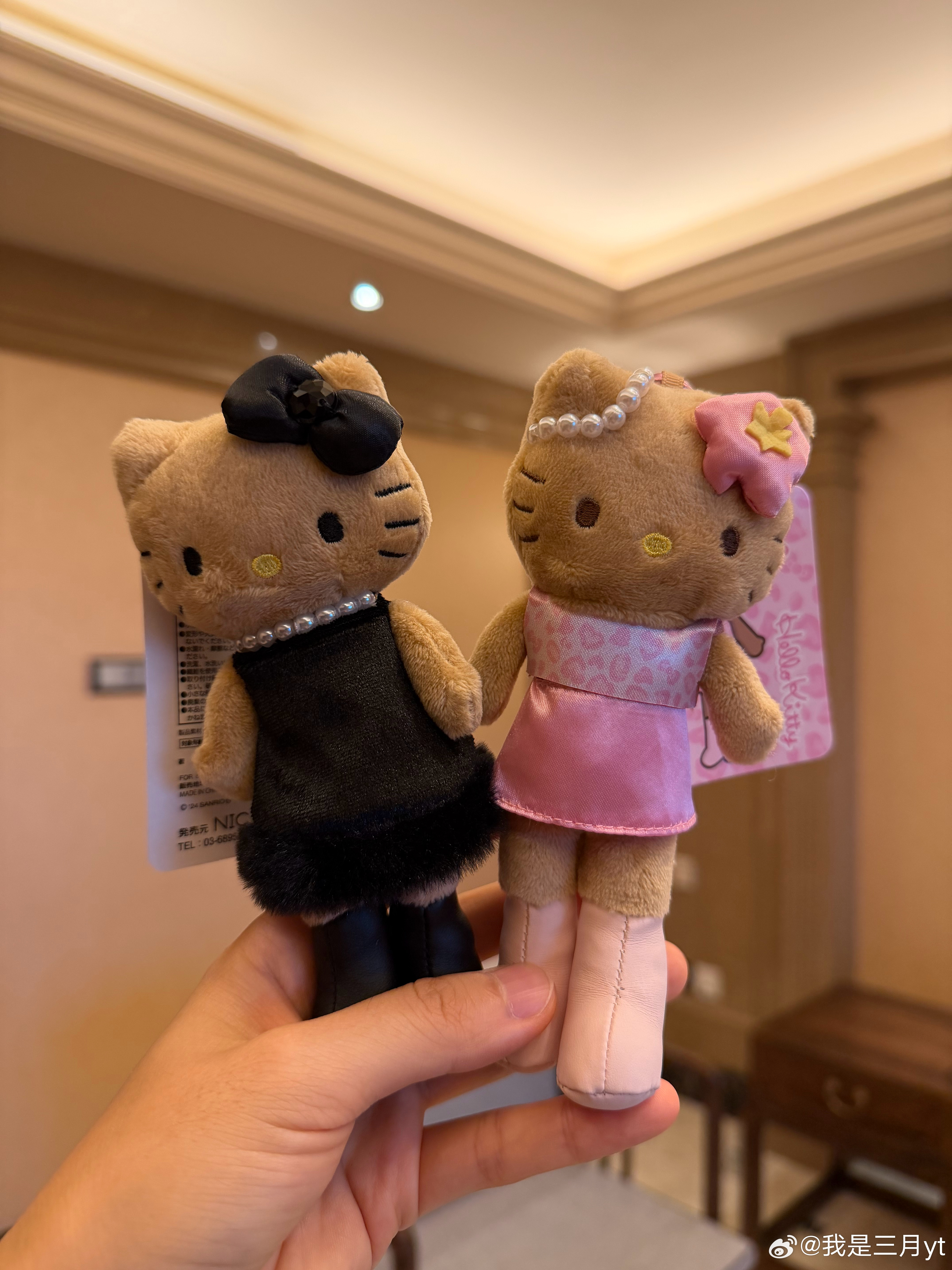 收到了两只长腿Kitty🐱 