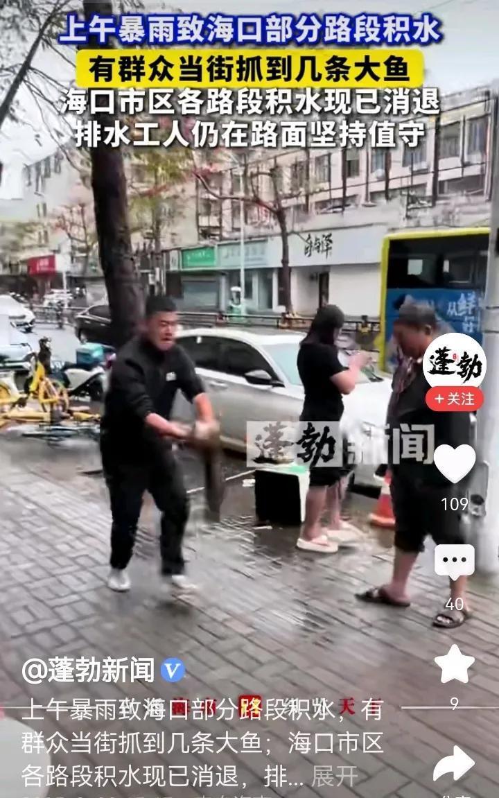 坐标海口，没觉得今天的雨有多大呀，有人在马路上都能逮到鱼，也不知道什么鱼，好不好