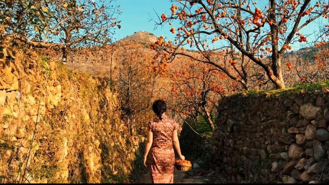 江城子•一念冬寒醉清欢
芳芳



北风瑟瑟问冬寒。百花残，蛰虫冤。柳笛声声、落