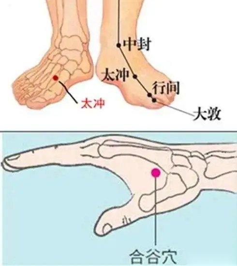 艾灸四关穴，身体气血通畅打开四肢气血开关就够了——艾灸合谷、太冲，也叫开四关。合