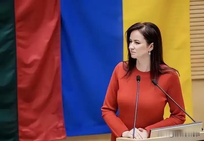 大错特错，立陶宛认怂吗？

很多人都说，立陶宛一个300万左右人口国家，居然敢对