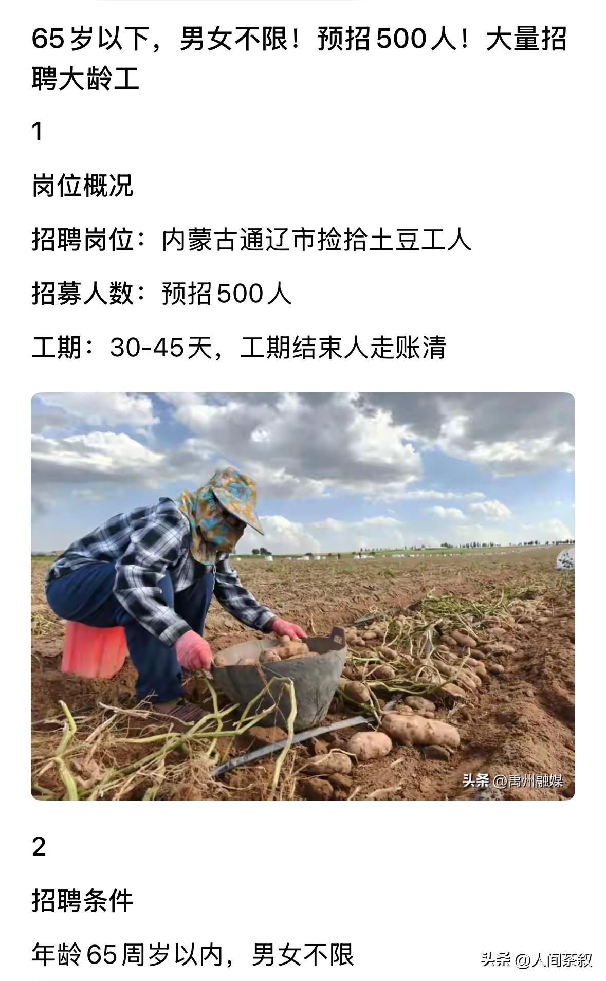 失业的一起去捡内蒙捡土豆吧
不用动脑
就只用哼哧哼哧捡土豆
一袋30元
每人每天