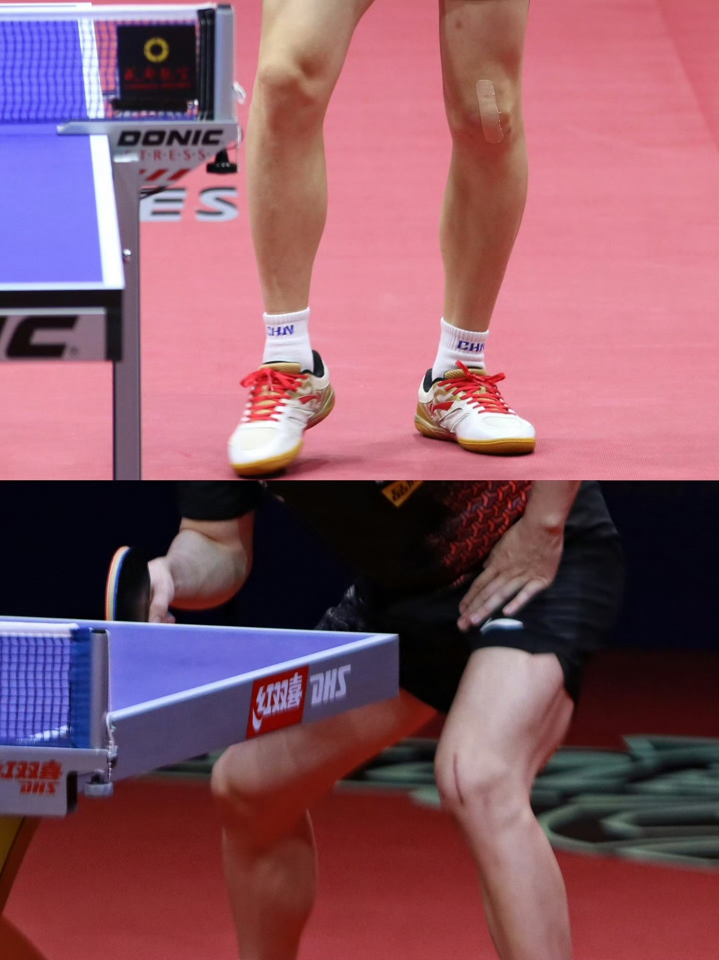 鞍山小马，勇往直前！