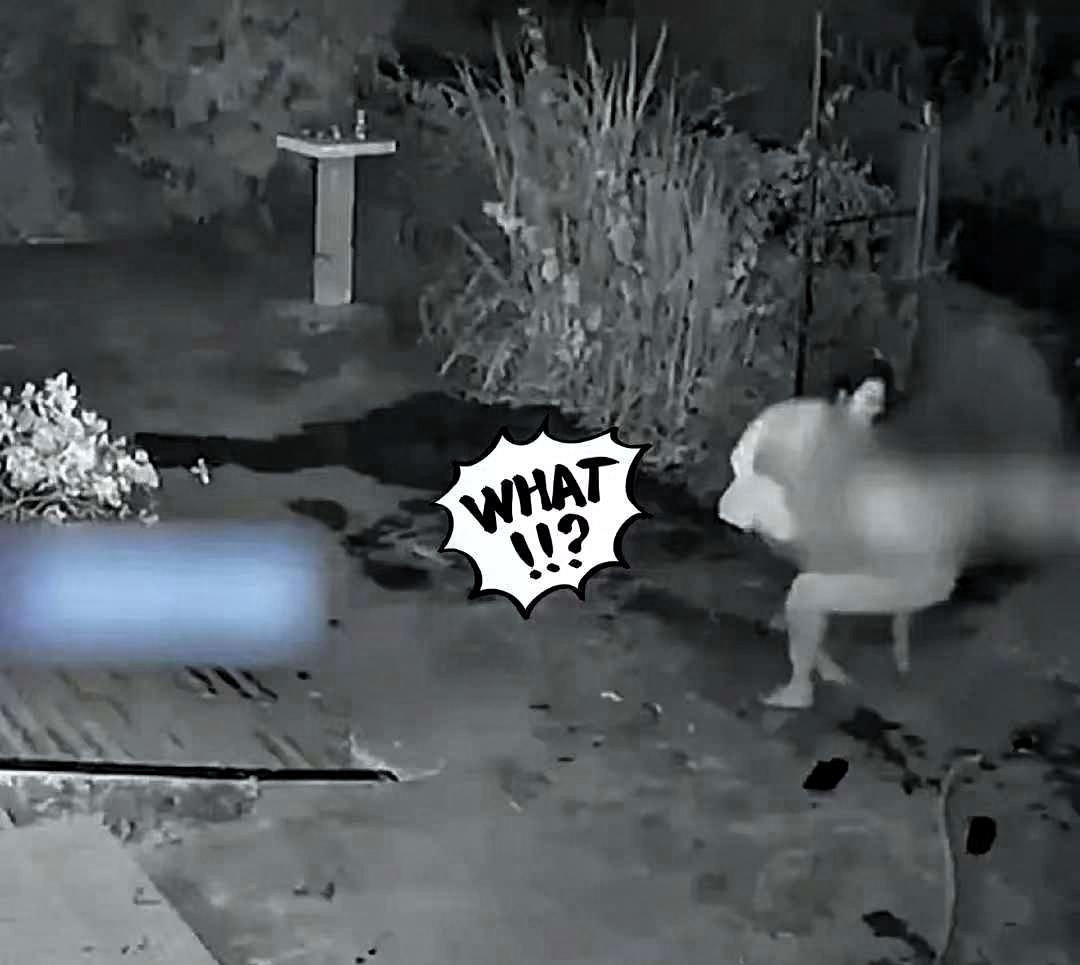 山东一位货车司机，因为长期在外跑车，最近察觉到妻子态度有些冷淡，沟通也变少了，心