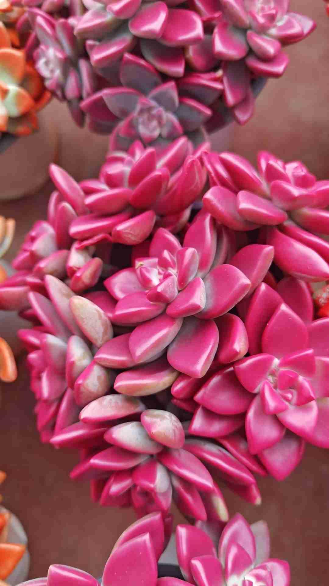 我的今日状态：😁轻松愉快
我这里的天气：☀️晴天