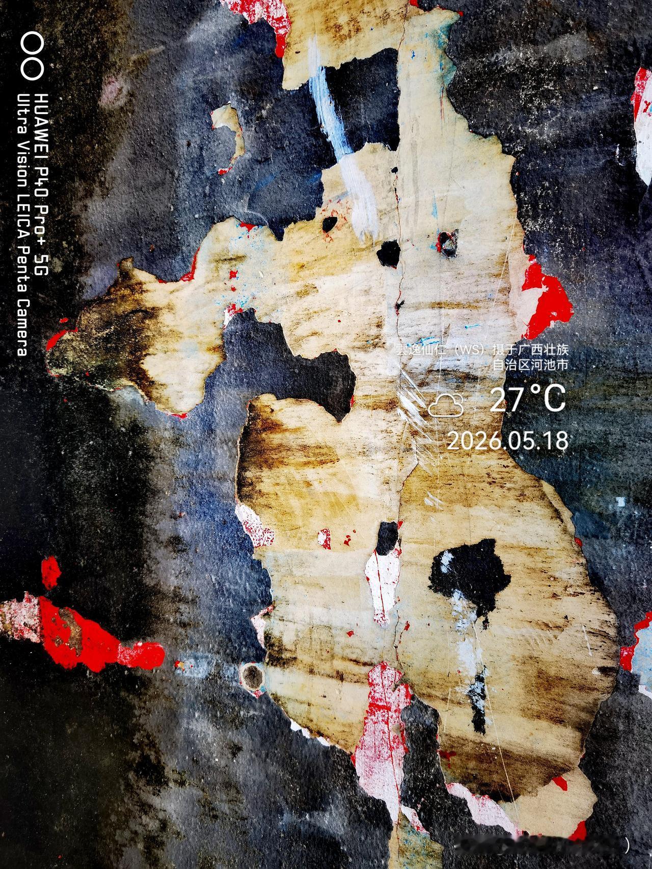 月居生活记录（9714）广西壮族自治区河池市（141）墙皮脱落画1：吻、牛、包头