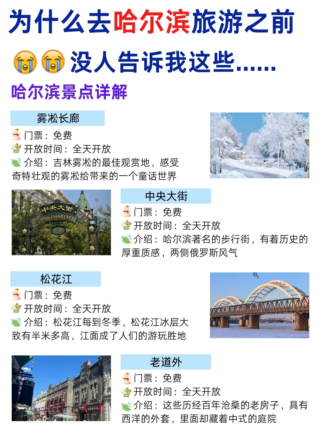 第1⃣次冬天去~哈尔滨雪乡旅游就这样玩🤣