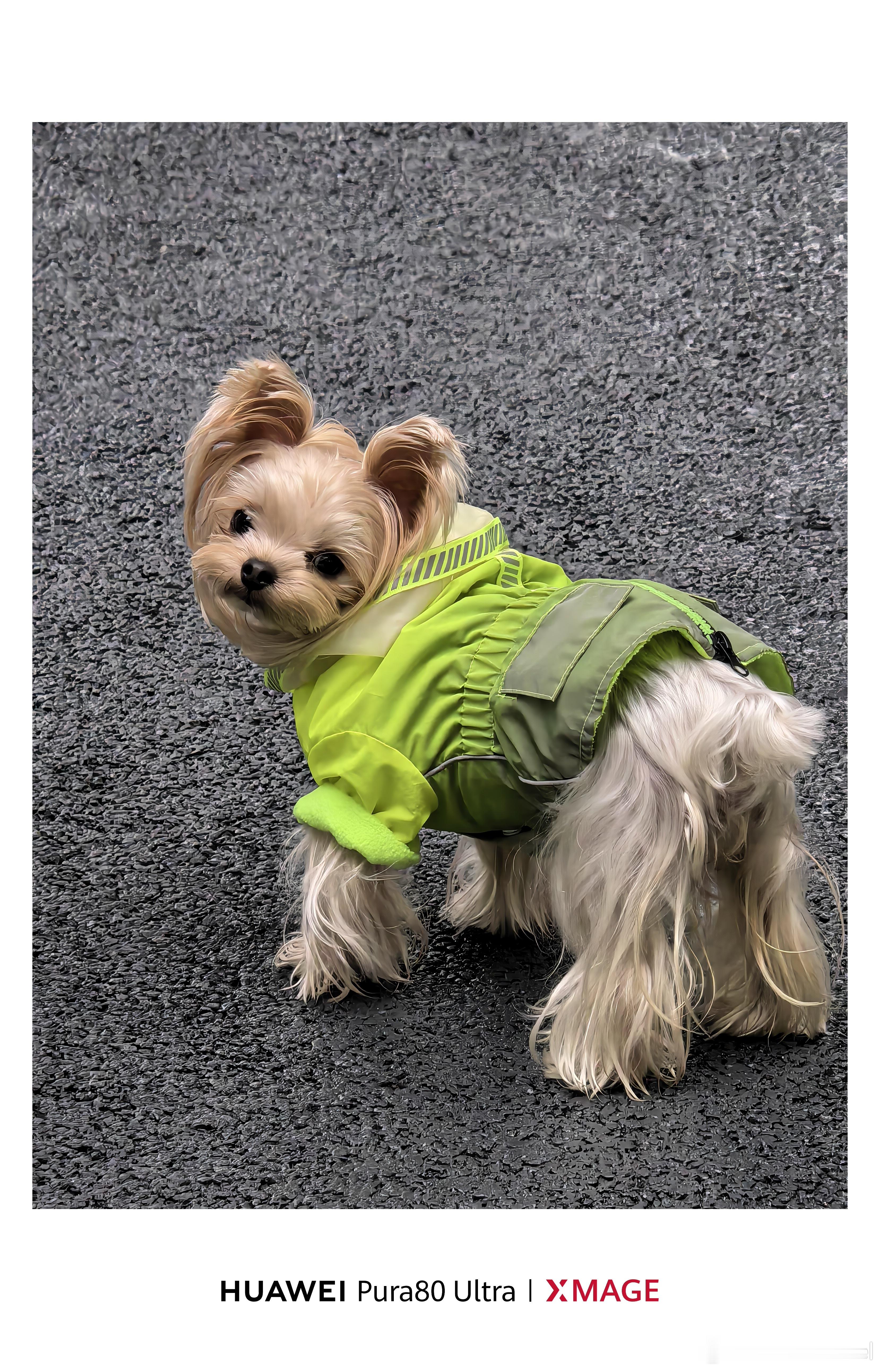 今天的成都也是阴雨绵绵，来杯热咖啡吧[卡皮巴拉] ​​​