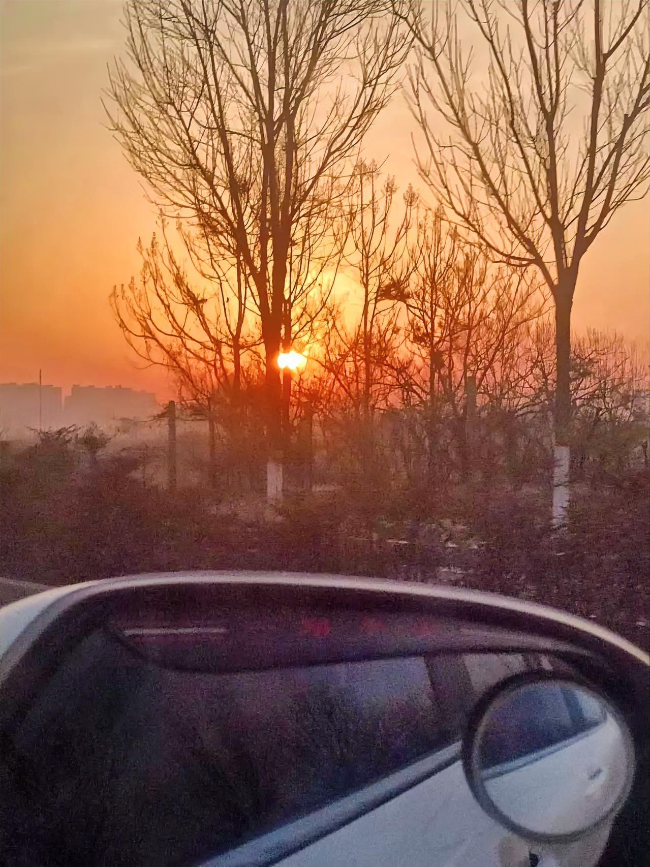 车窗框住的黄昏，像把生活的喧嚣都滤成了暖橙色。光秃的枝桠在余晖里舒展，没有叶子的