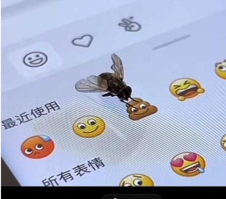 要么认命，要么拼命！你要相信，所有折腾都有价值