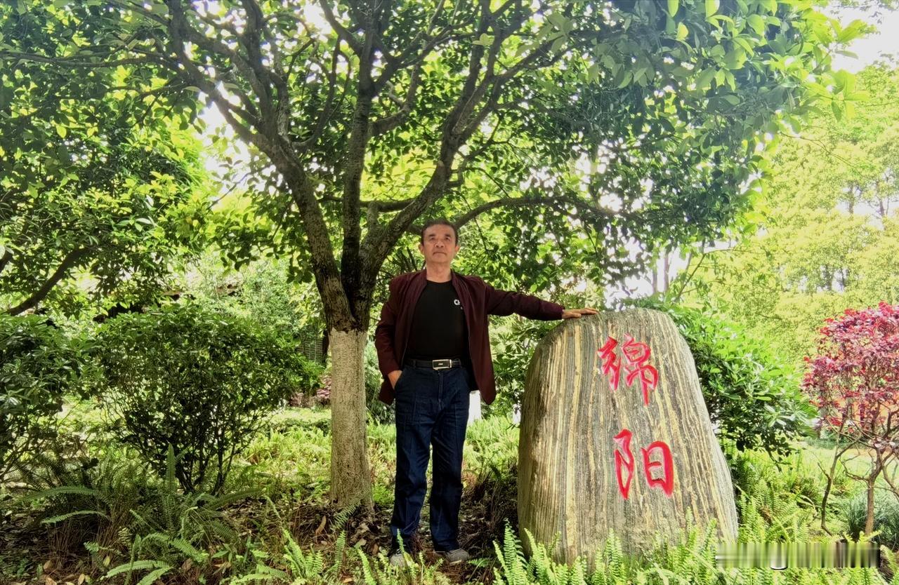 重庆园博园系列（四）西部园林展区（15）绵阳园（绵洲山水）重庆园博园徒步 绵阳园