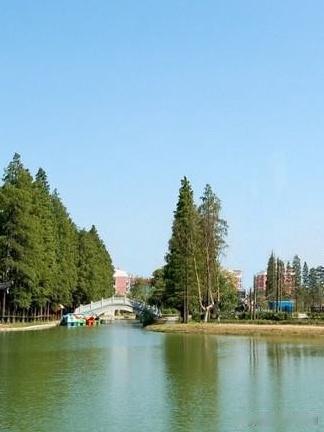 春日慢跑｜宁陵人民公园环湖路线推荐

🌿在商丘发现了一处城市绿肺！趁着春光明媚