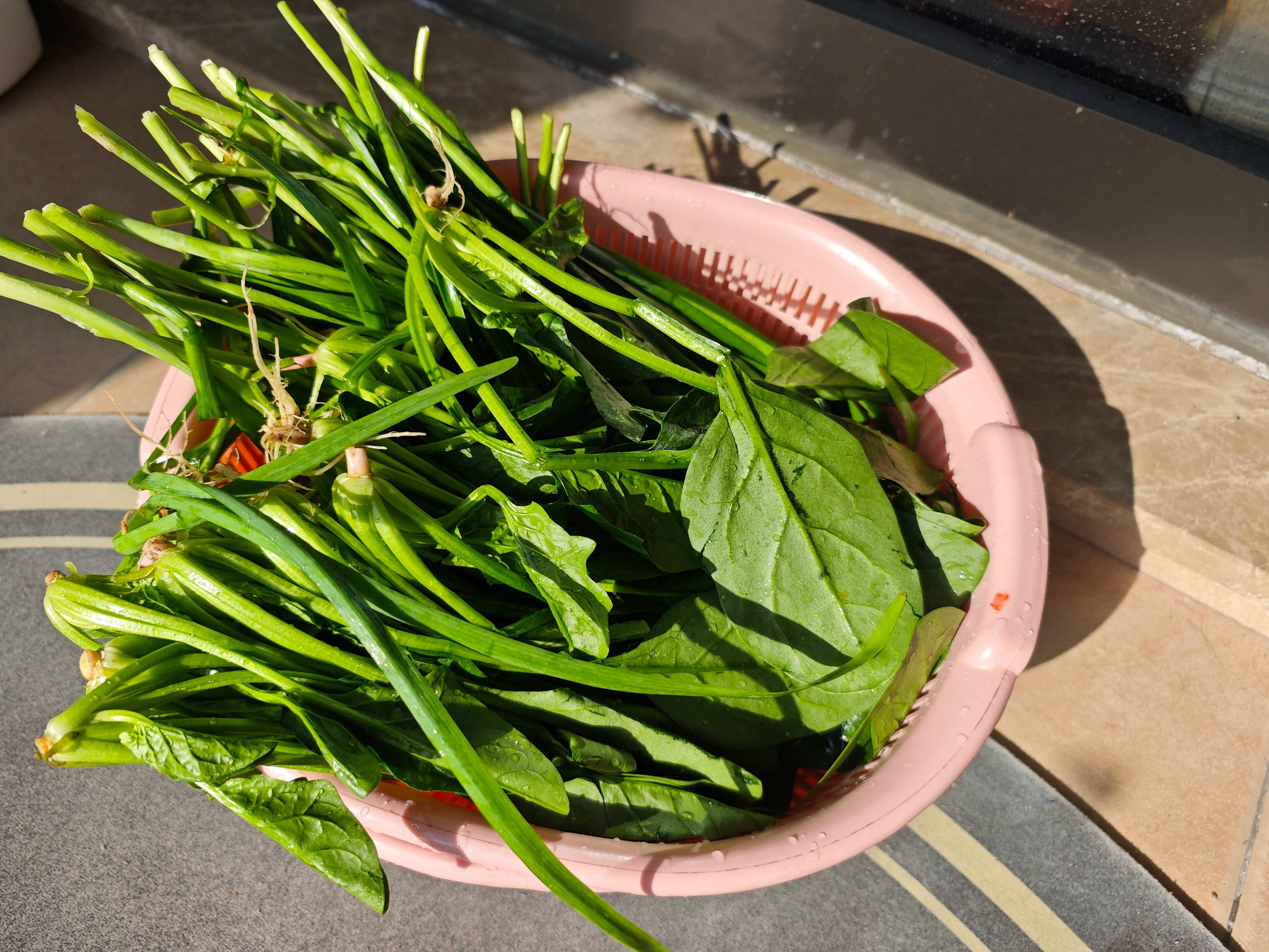吃撑了，嗝。菜馍