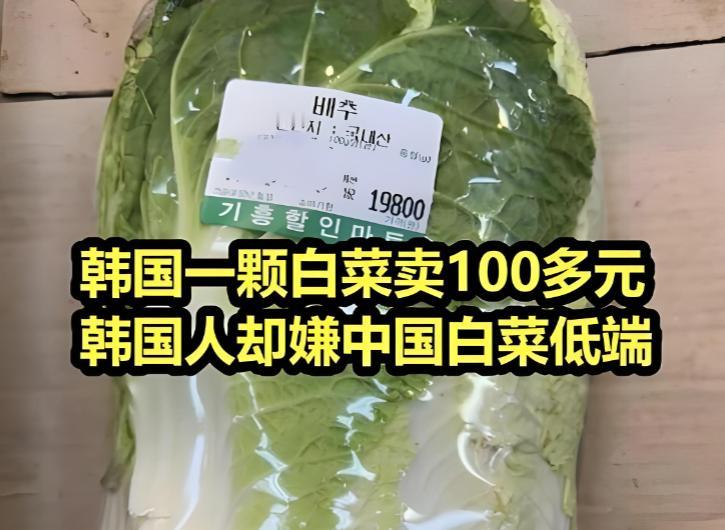 “中国要被我们拖垮了！”2024 年，韩国上千人拒绝吃从中国进口的中国白菜，本想