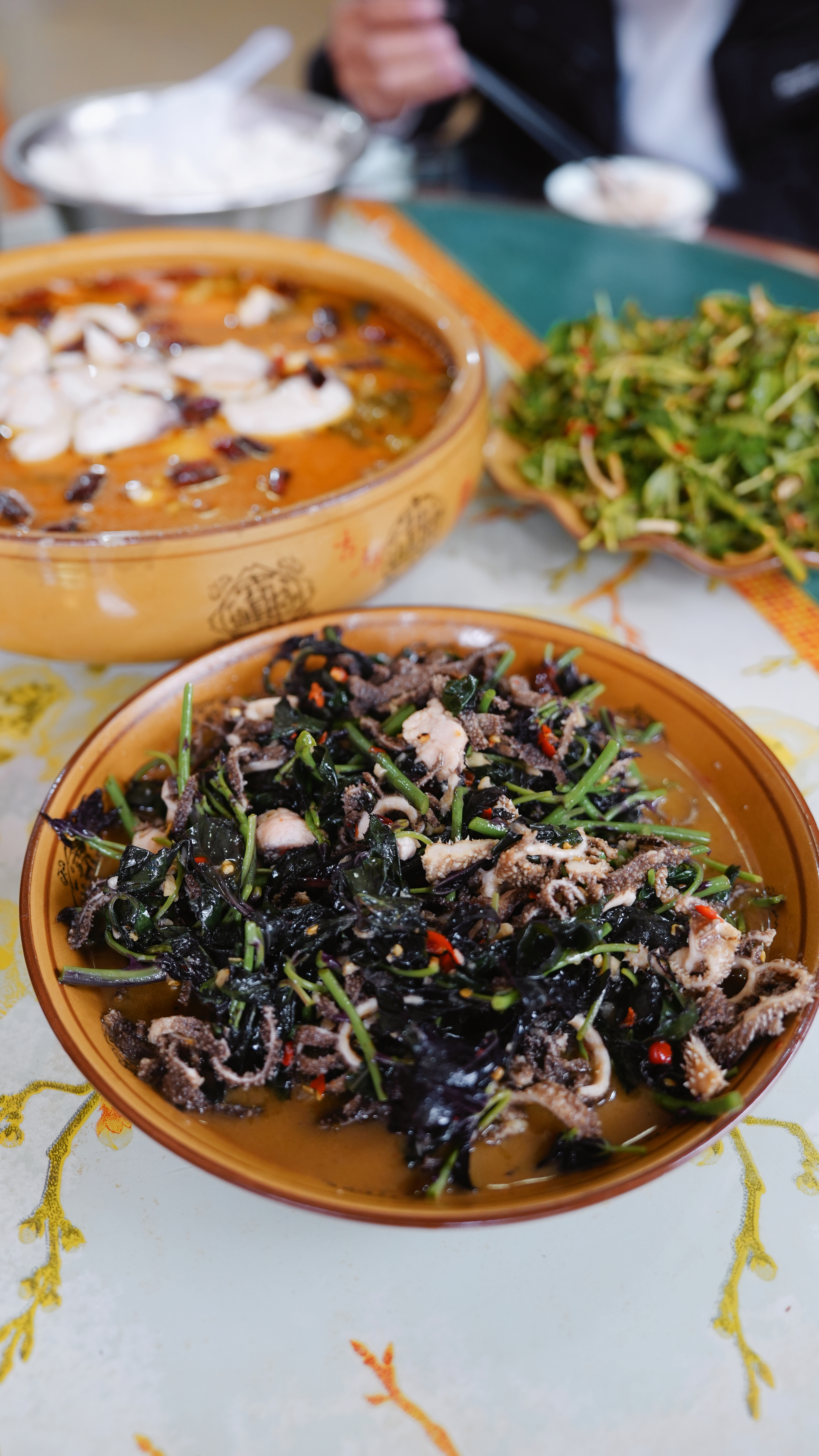 吃饭了列位，带刺儿的菜你没吃过吧，我吃了 普洱·墨江