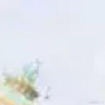 宽容是一种修养，宽容是一种品质，宽容更是一种美德。宽容不是胆小无能，而是一种海纳