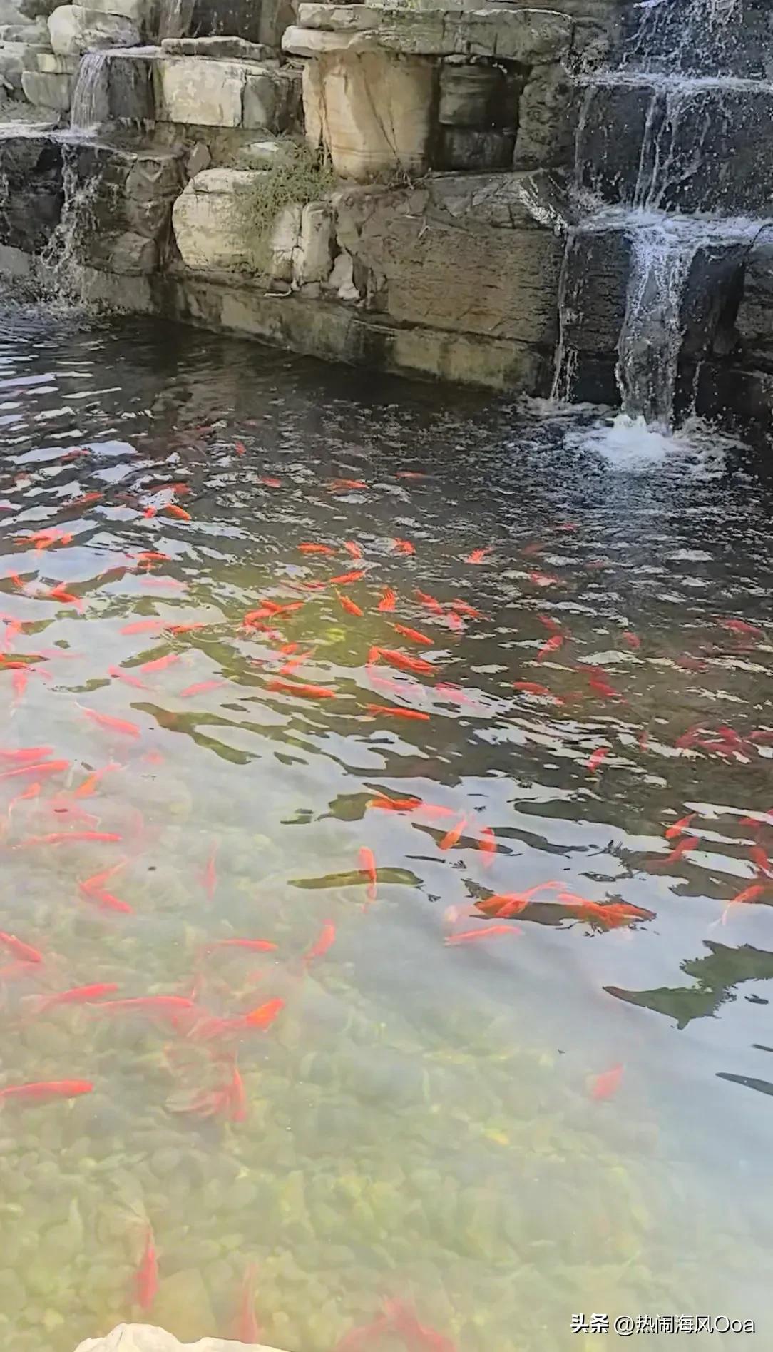 非常治愈的一段话：
“年龄在变，气血有限，瞎活就行了，反正结局都一样，气血不足的