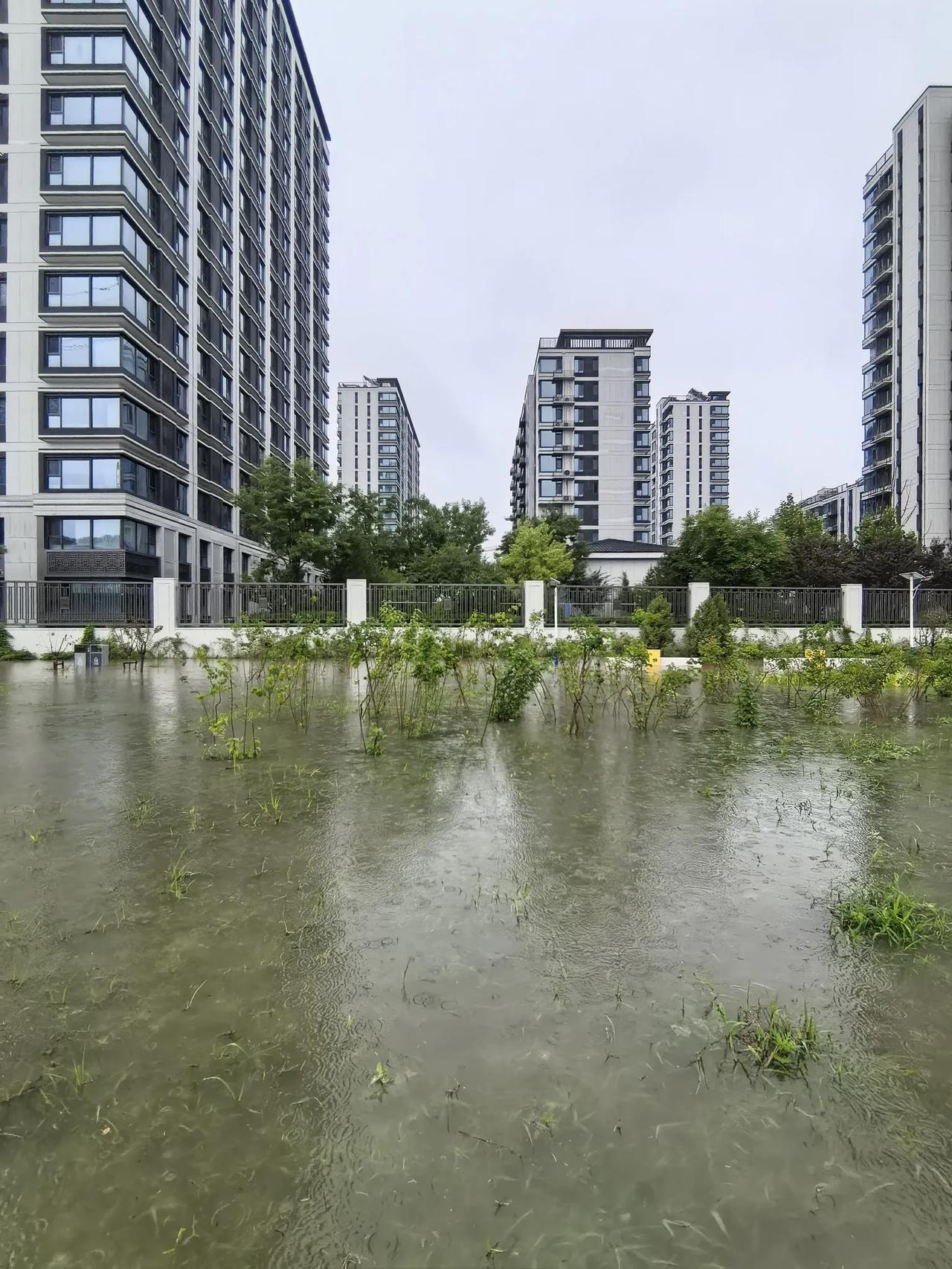 当一场狂风暴雨过后，风轻轻的走了，雨渐渐的停了，那留给人们的是什么？也许是一片狼