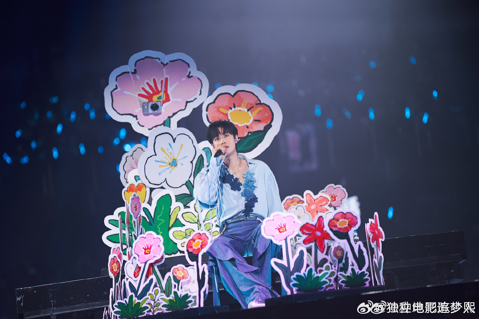 花落花熙日记忆 （