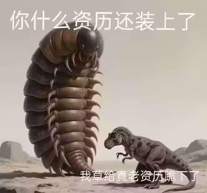 老资历好帅我好爱 ​​​