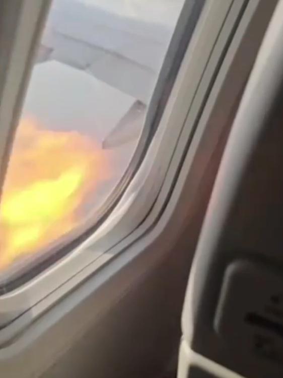 【美航一架737-800遭鸟击后紧急返航】国联邦航空管理局8月10日消息，美国航