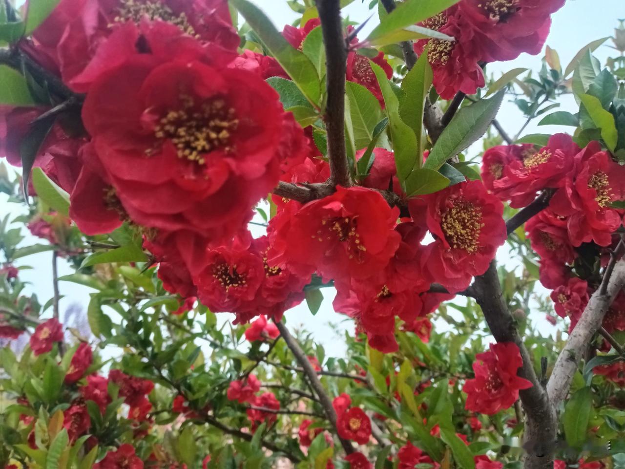 高纪明(山东)
玉楼春·小楼听雨
听雨楼中声不断。风过窗台帘半卷。小楼还是那年楼