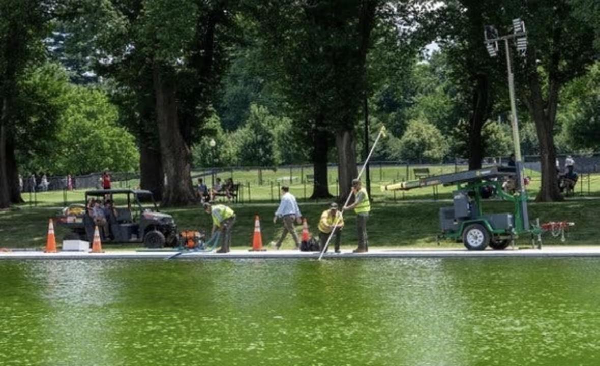 耗资千万美元的林肯纪念堂倒影池改造工程，竣工没几天就接连翻车。池水变绿、涂层起皮